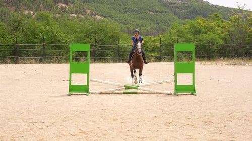 Horse and Rider Jumping Over Hurdle in Equestrian Arena