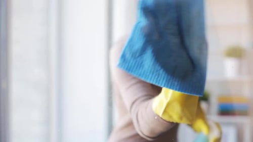 Woman cleaning window with spray and cloth indoors