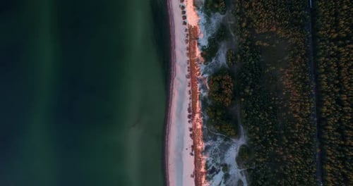 Sea Beach with White Sand Near the Forest Aerial View