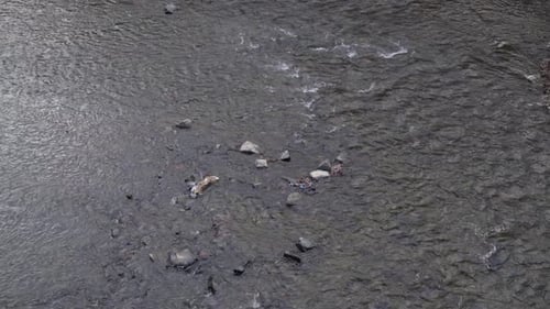 Rocks sitting in a river while waters flows by.