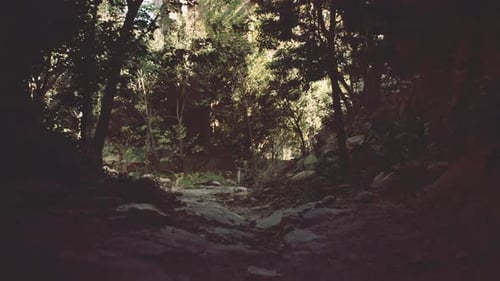 Dirt Road Cutting Through Rocky Forest Mountain Path