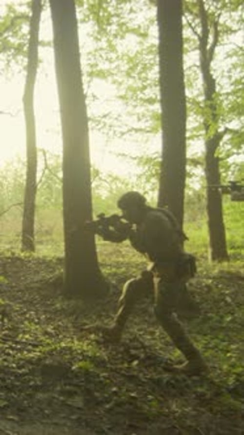 Tropas marcham pela ocultação de florestas Unidade militar realiza treinamento furtivo em meio a densos bosques