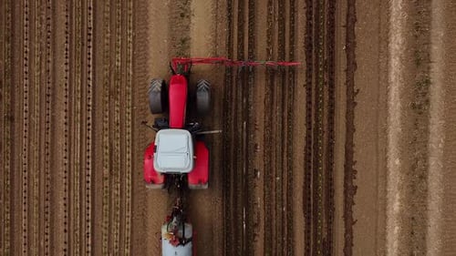 Birds view drone flight going up tractor drives over field and pours young lettuce plants with water