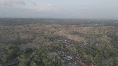 View of rice fields in jatirejo village, Yogyakarta 0204