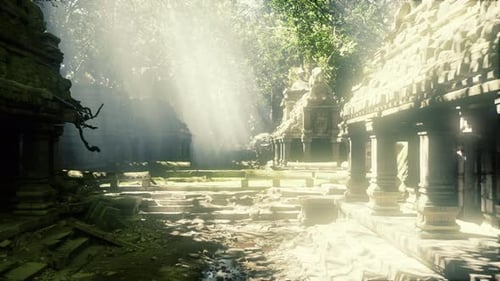 Sunlight Through Ancient Jungle Temple Ruins