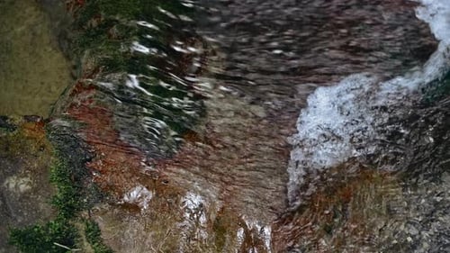 Closeup of Clean River Stream Creative Streams and Splashes of Water in Forest River Beautiful Clean