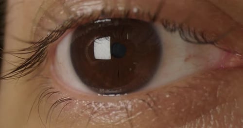 Extreme Close Up of a Brown Eye Staring Forward