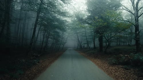 Isolated Mountain Road in the Fog