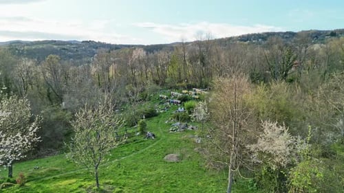 Aerial view of colorful beehives in an apiary surrounded by blossoming trees