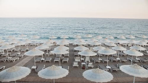 Empty Beach Rows of Folded Beach Umbrellas and Empty Sunbeds in Turkey Early Morning