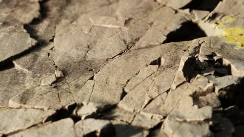 Close Up of Rocky Stones Formation
