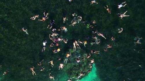 Aerial view of people snorkelling in shark bay on Ko Tao island, Thailand.