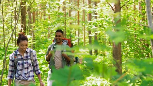Group of Friends Hiking Through Lush Green Forest