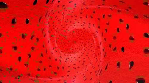 Watermelon Fruit Tunnel Background, Loop