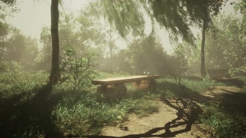 Sunlit Park with a Wooden Bench Surrounded By Lush Greenery and Soft Light