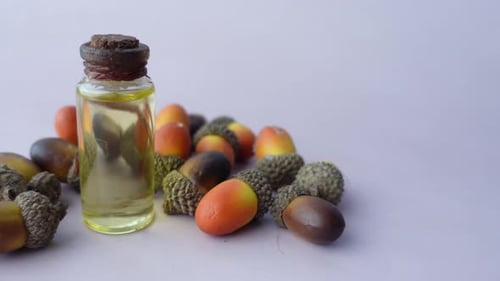Acorn Essential Oil Isolated on White Background
