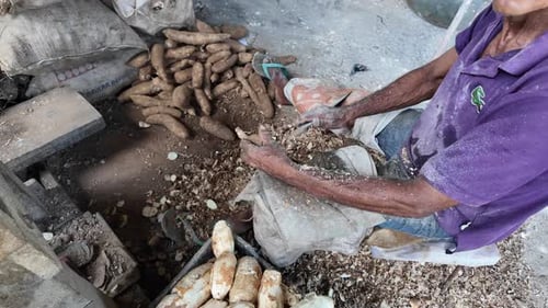 Man Peeling Cassava Root to Produce Traditional Casabe Flour