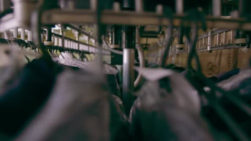 industrial laundry in hotel clean shirts of employees and guests sorted after washing hung scrolled