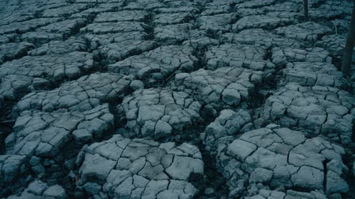 Arid Cracked Landscape Showing Effects of Drought