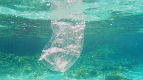 A plastic bag is floating in a sea/ocean. Plastic pollution, big environmental problem.