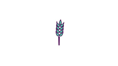 Minimalist Growing Wheat Stalk Animation