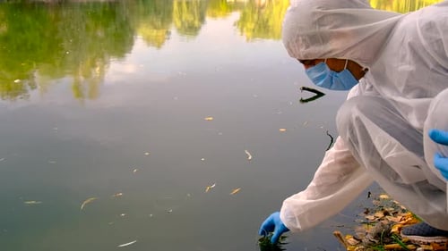 Conduct a Water Study on a River Selective Focus