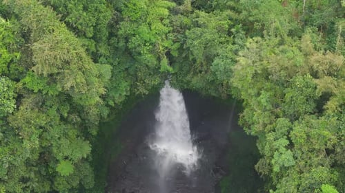 Vertical View of Bali Waterfall Plunging Into Round Basin Amid Dense Rainforest
