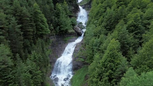 Forest Waterfall in the Pyrenees