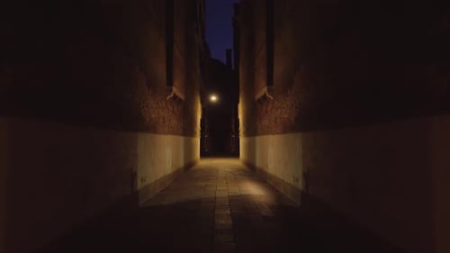 Venetian Street at Night