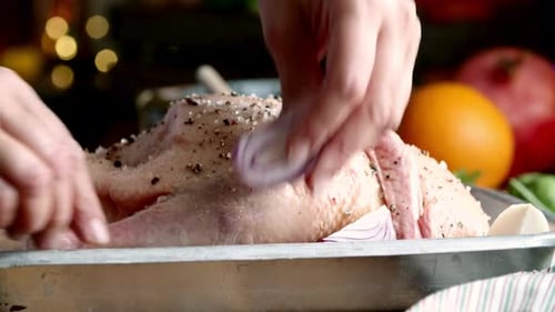 Hands Preparing a Whole Seasoned Duck with Rosemary and Onions