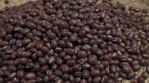 Adzuki-Bohnen. Ganze rohe Früchte von Vigna angularis