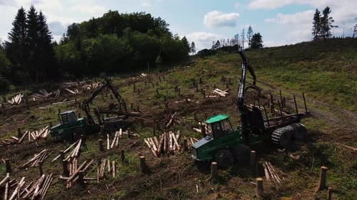 Moderner industrieller Forsthäcksler, der den Baumbestand im Wald entlangbewegt. Schwerer mechanischer Einsatz in