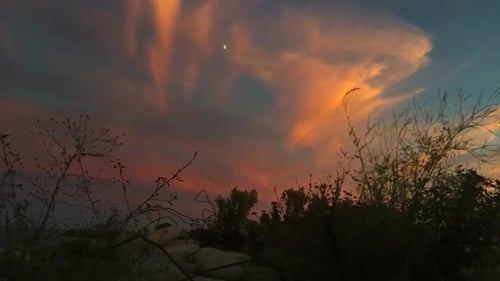 Vibrant Sunset with Clouds and Silhouetted Bushes