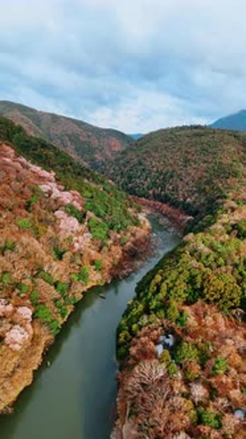 Herbst in Kyoto, Japan. Aufnahmen über den schmalen Fluss, der zwischen den Bergen wackelt. Vertikales Video.