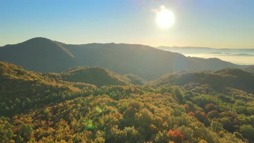 Beautiful mountainous autumn colored landscape during sunrise - Aerial view