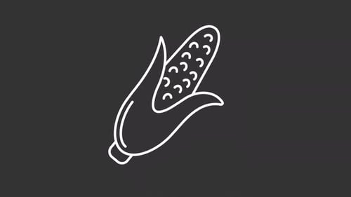 Animated Line Art Corn on the Cob Icon