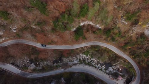 Aerial View of a Autumn Forest Through Which a Winding Road Passes in the Mountains
