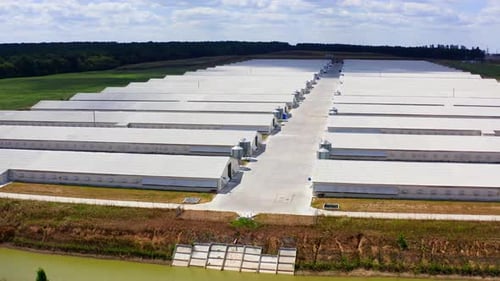 Contemporary farm complex in a sunny day. White barn houses on field on beautiful nature background.