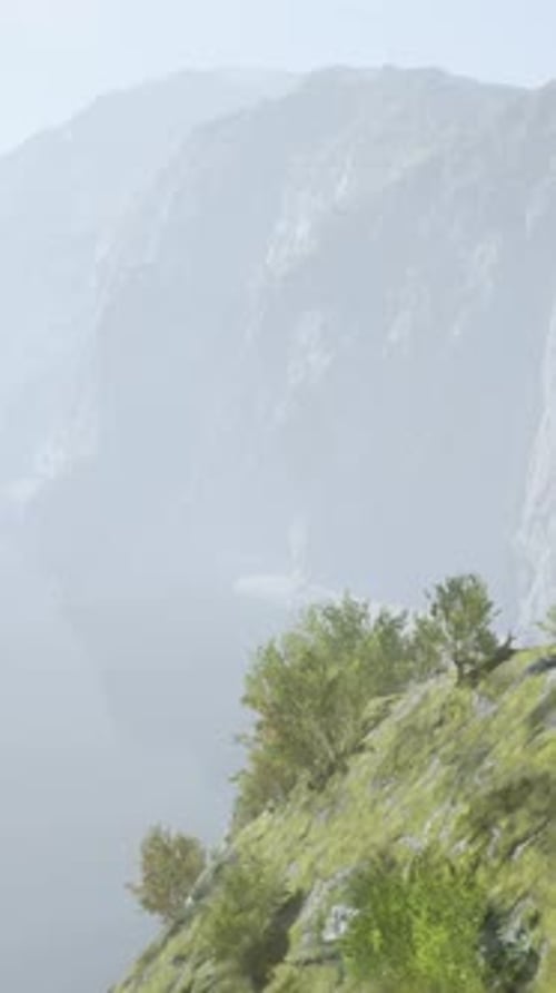 A Mysterious Fogcovered Mountain with a Solitary Tree Standing Tall
