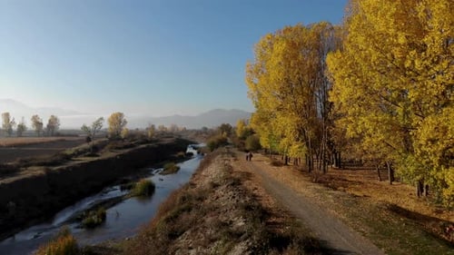 Country road alongside river and yellow poplars at beautiful early morning sunshine