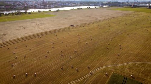 Grande campo agrícola após a colheita do trigo com trator de fardo redondo Driving Hay com Tedder