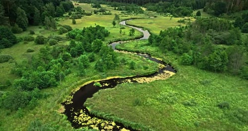 Winding river in swamps in summer, aerial view