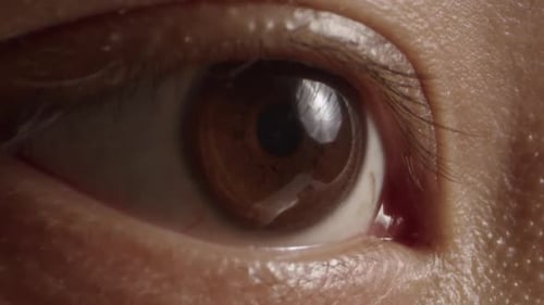 Menschliches Auge mit brauner Iris zeigt visuelle Reaktionen Makro