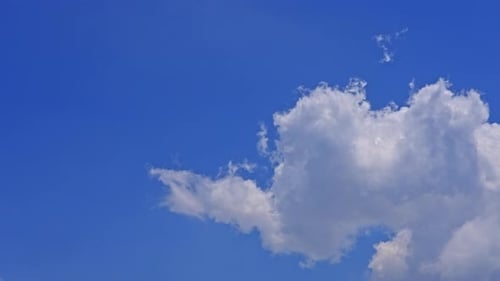 Wind Driven Cloud Stream