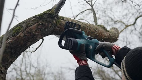 Man with an electric chainsaw cuts down branch of the tree for firewood
