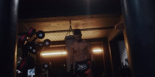 Boxer in a Gym