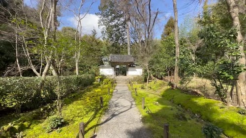Entrance Gate To Jizo-in Temple With Vegetation In Kyoto, Japan. pullback shot
