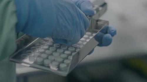 le chercheur sélectionne les aspirines et les place dans des blisters en plastique