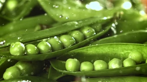 Fresh Green Peas Filmed on a Highspeed Camera at 1000 Fps
