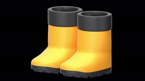 boots 3D Animation, Alpha Channel, Transparent Background